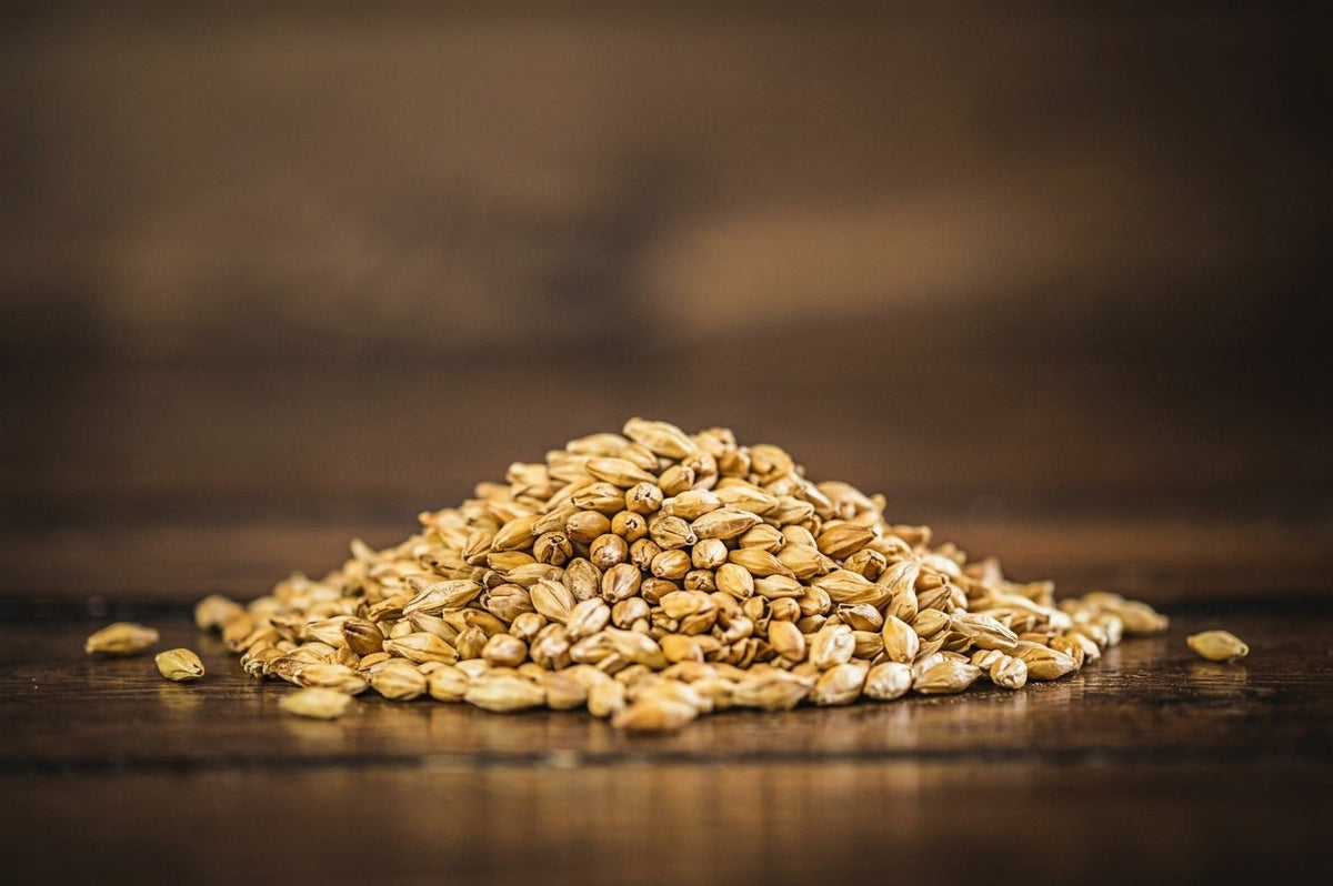 Malts & Grains