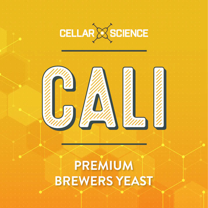 CellarScience® CALI Dry Yeast 15g | American Ale | Premium Beer Yeast