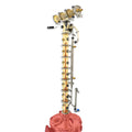 3' PolyPhoenix N-7 Copper Bubble Plate Reflux Still