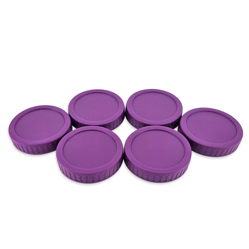 Haul Mason Jar Leak-Proof Lids  - 6 Pack (Purple)