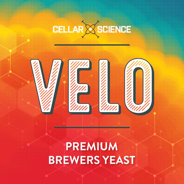 CellarScience® VELO Dry Yeast 15g | Specialty Ale | Premium Beer Yeast