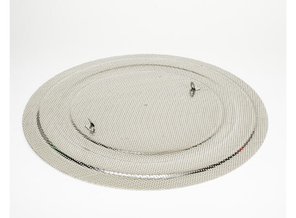 100L Brewzilla Top Screen no hole