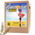 American Blonde all-grain beer set