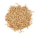Weyermann® CaraAmber 250g Whole