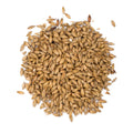 Weyermann® Eraclea Pilsner Malt 1 kg Whole