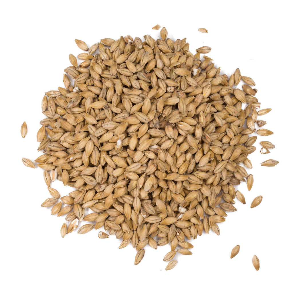 Weyermann® Floor-Malted Bohemian Pilsner Malt 1 kg Whole