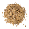 Weyermann® Floor-Malted Bohemian Pilsner Malt 1 kg Whole