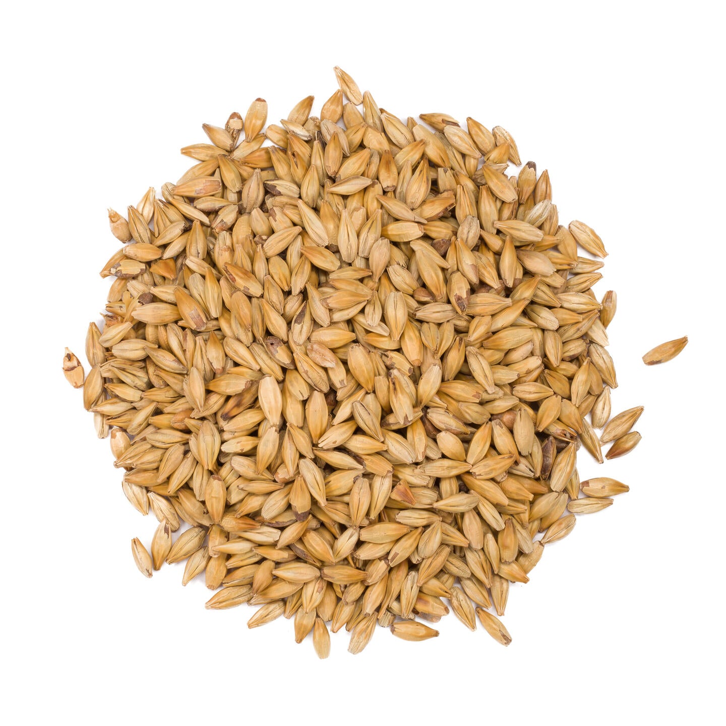 Viking Golden Ale Malt 250g whole