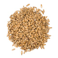 Viking Smoked Wheat Malt 250g whole