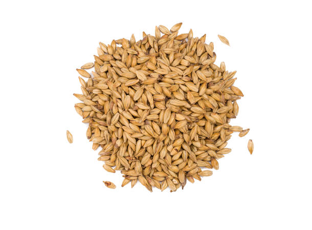 Viking Pilsner 1 kg Whole Malt