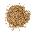 Viking Vienna 1 kg Crushed Malt
