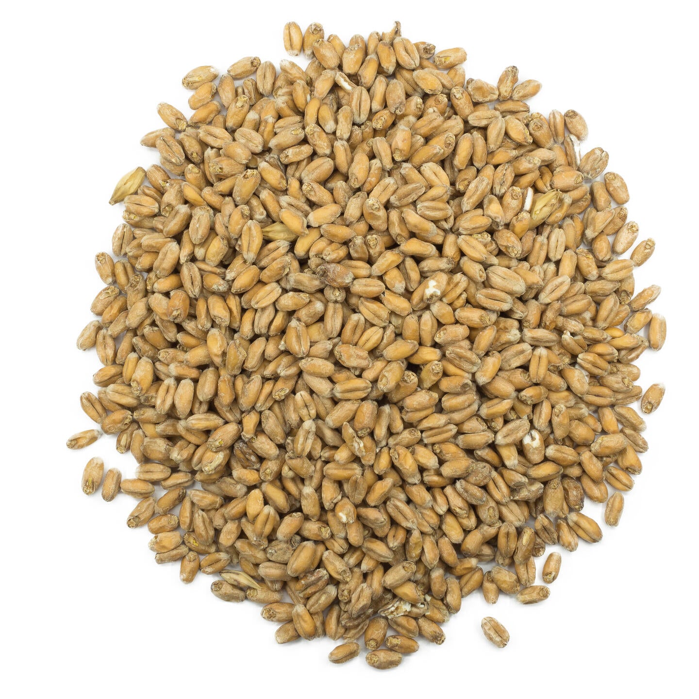 Viking Wheat 5 kg Crushed Malt